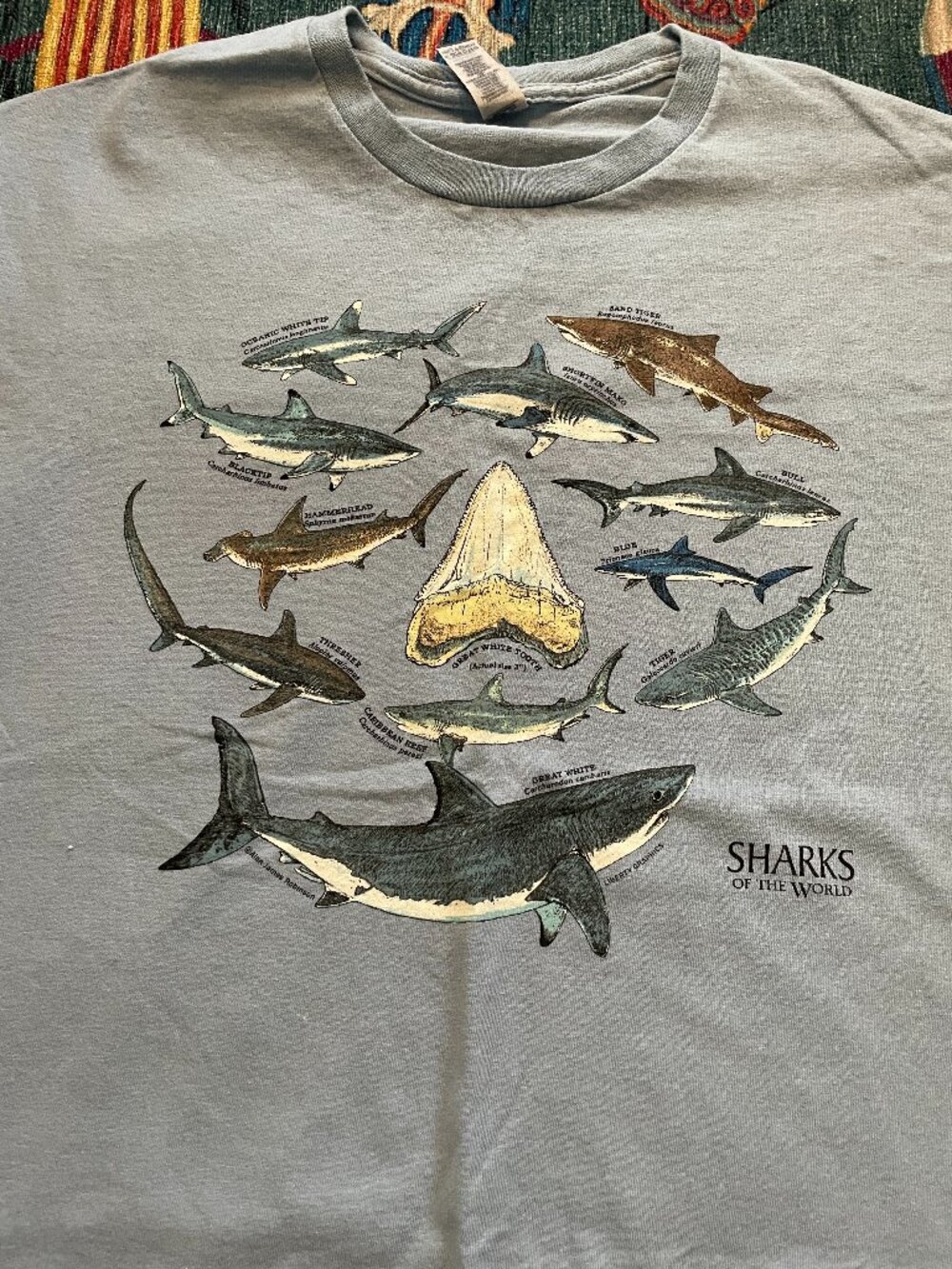 Sharks of the World T-Shirt - Picture 1 of 2